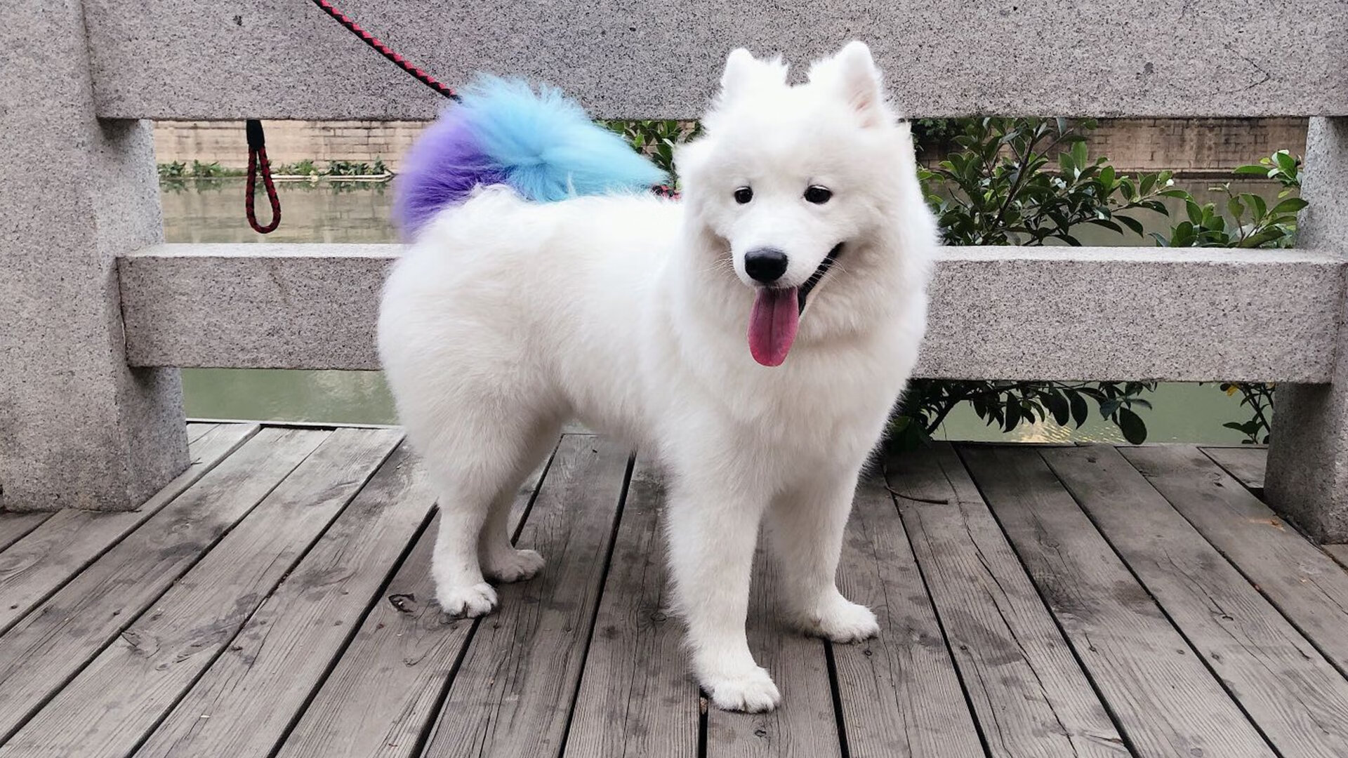 九游体育入口-中超防守球员铲断成功率数据图,中超防守型中场