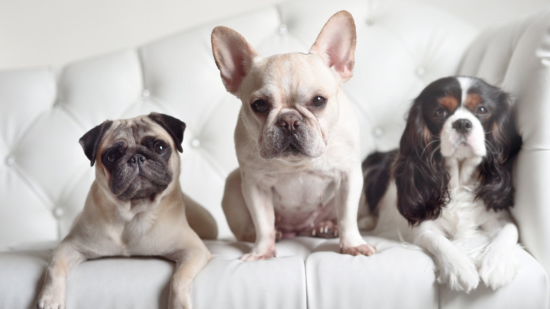 九游体育官网-女排世界杯美国队意外落败,女排世联赛2021美国队