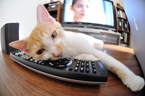 九游体育官网入口-法甲球员赛后心率恢复监测促进科学训练调整,法甲队员