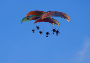 九游娱乐下载-英超球队结合疲劳评分系统动态分配替补上场时机,英超受伤率