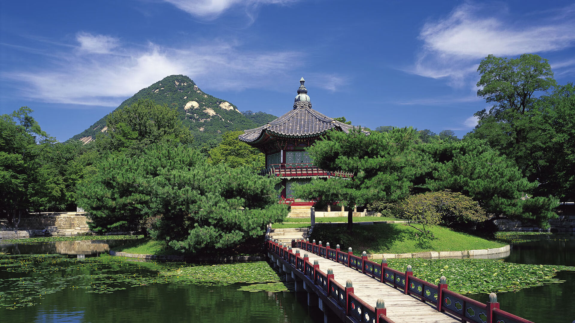 中国九游体育-“东桃花岛迎来缆绳滑水赛，极限运动尽显风采”