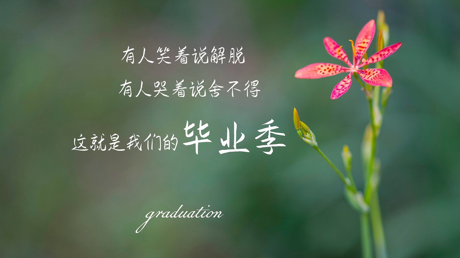 Jiuyou Sports-中国足球国际影响力有限，影响中国足球是足协吗