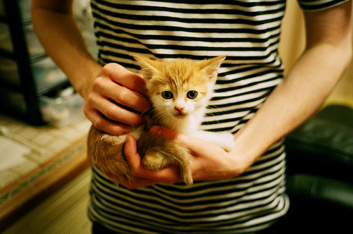 九游体育APP下载-体育新闻中心启动青少年体育媒体创作实践计划，体育新闻专题报道