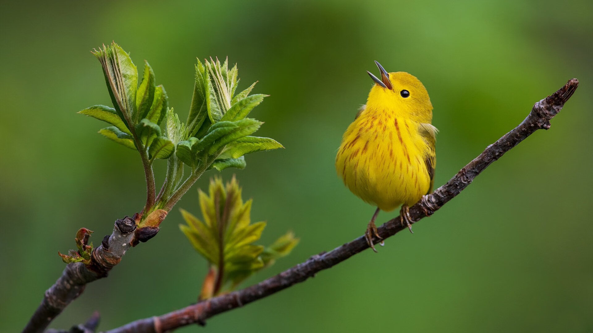 九游-体育新闻中心推出赛事回顾与知识科普一体化栏目,体育新闻赛事报道标题大全