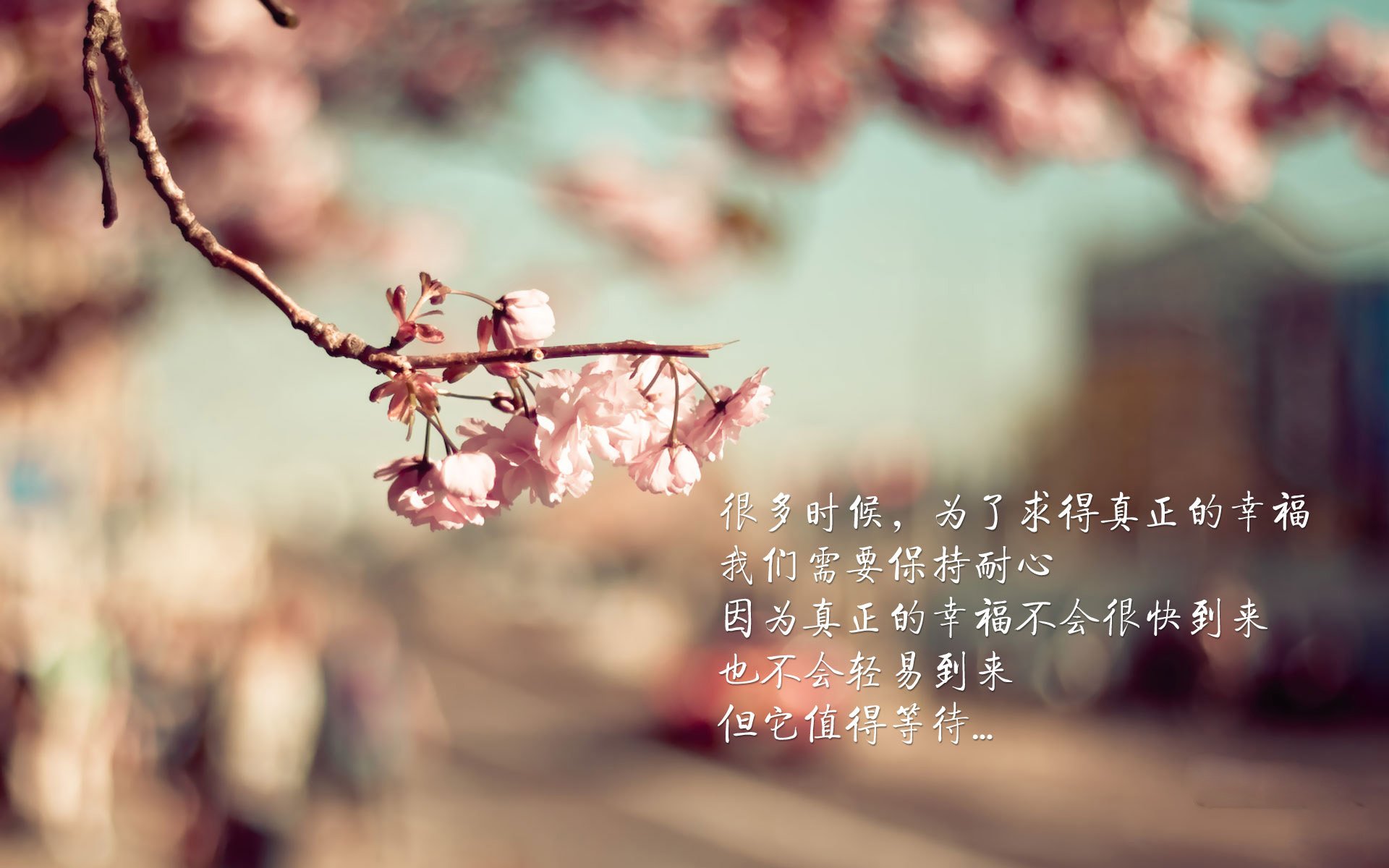 九游体育官网入口-决赛亮点回顾，精彩瞬间不断，决赛启动