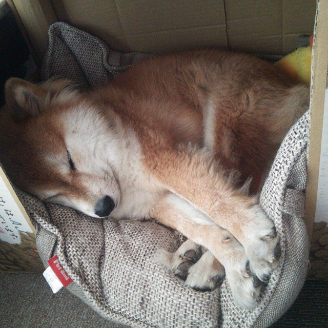 九游赛事-出发反应快,前50米抢占节奏,50米反应速度训练